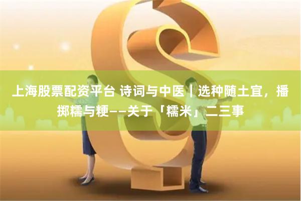 上海股票配资平台 诗词与中医｜选种随土宜，播掷糯与粳——关于「糯米」二三事
